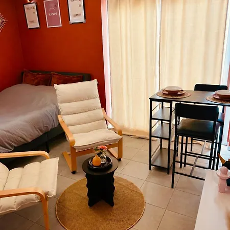 Renove Terracota En Plein Centre * Mulhouse